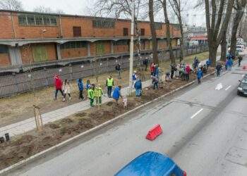 Sostinės Savanorių prospektas pasikeis