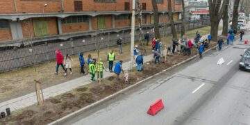 Sostinės Savanorių prospektas pasikeis