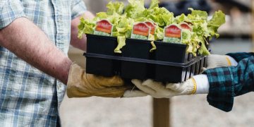 Kooperatyvų nariams – daugiau laisvės spręsti ir paprasčiau veikti