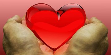 Dėl ketinimų įvesti numanomą sutikimo modelį organų donorystei Lietuvoje