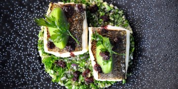 5 įdomūs faktai apie vilkžuvę