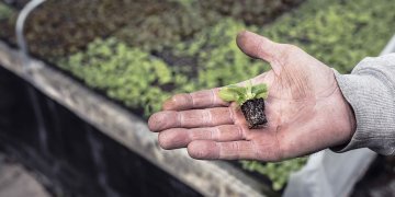 Ūkininkų ir gyventojų, kurie neįregistravę ūkininko ūkio verčiasi individualia žemės ūkio veikla dėmesiui!