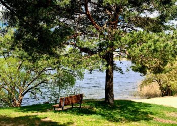 Vilniuje – dar du paplūdimiai