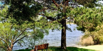 Vilniuje – dar du paplūdimiai