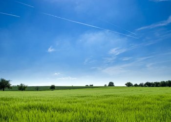 Žemės ūkis Vilniaus rajone