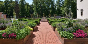 Bonos Sforcos sodelyje – dailės užsiėmimai ieškantiems naujų vasaros įspūdžių