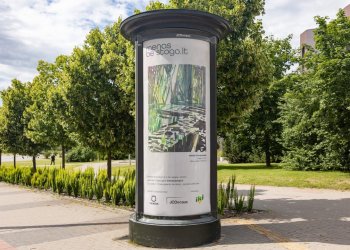 Mykolės Ganusauskaitės kūrinys