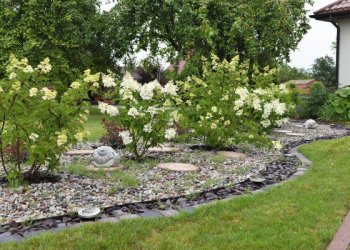 Renkamos gražiausios Šalčininkų rajono sodybos