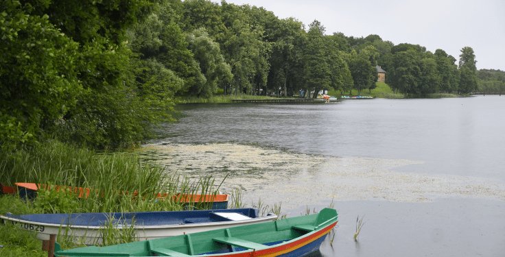 Trakų rajono savivaldybės administracija rengia savaeigių plaukiojimo priemonių, galinčių...