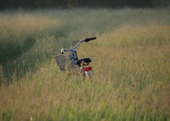 Informacija apleistų žemės sklypų savininkams