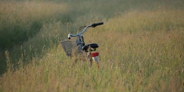 Informacija apleistų žemės sklypų savininkams