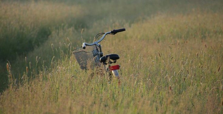 Informacija apleistų žemės sklypų savininkams