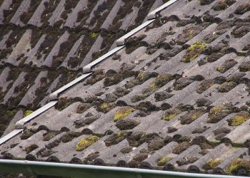 Vilniaus rajono savivaldybė finansuoja asbesto atliekų surinkimą ir šalinimą