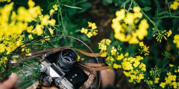 Rudaminos daugiafunkcinis kultūros centras kviečia dalyvauti atostogų nuotraukų konkurse!