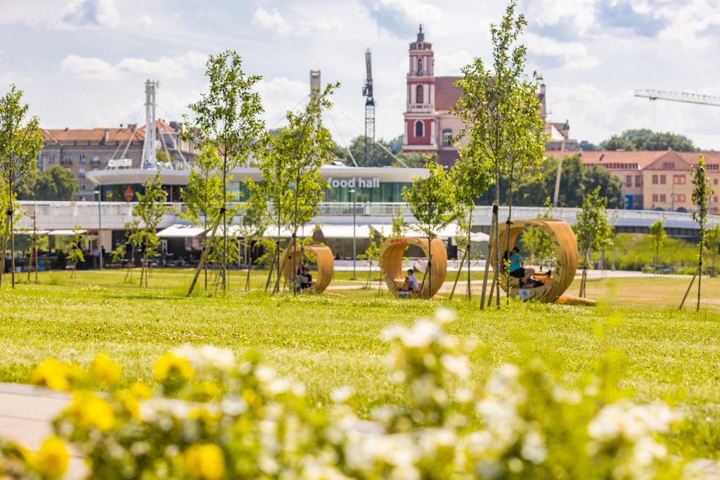 Vilnius šienauja pievas