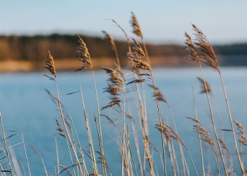Džiugi žinia poilsiautojams – Vilniaus rajono maudyklų vandens kokybė puiki!