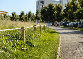Ruošiamasi antrajam masiniam miesto pievų šienavimui