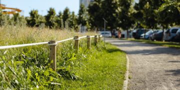 Ruošiamasi antrajam masiniam miesto pievų šienavimui