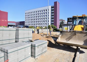 Viešojo transporto stotelėse vilniečius vėsins žaluma