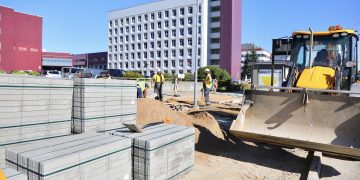 Viešojo transporto stotelėse vilniečius vėsins žaluma