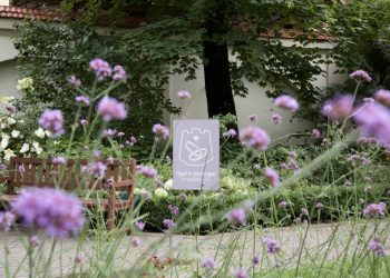 Vilniuje auga ne tik gyventojų, bet ir santuokų skaičius