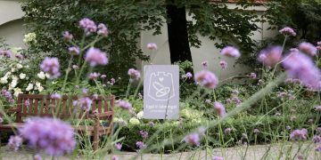 Vilniuje auga ne tik gyventojų, bet ir santuokų skaičius