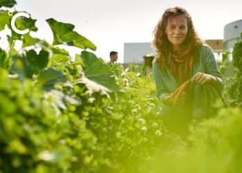 Cllimate-campaigners