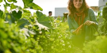 Cllimate-campaigners