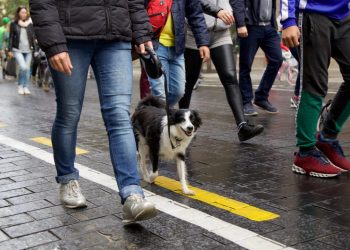 Masinio ėjimo renginio metu bus eismo ribojimų
