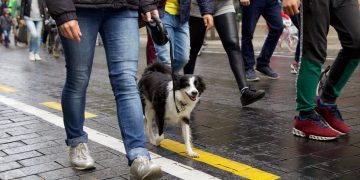 Masinio ėjimo renginio metu bus eismo ribojimų