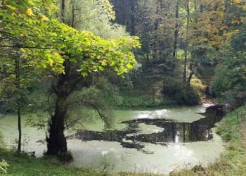 Dėmesys vienam iš brandžiausių E. F. Andrė kūrinių – Lentvario parkui