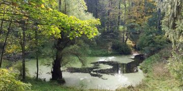 Dėmesys vienam iš brandžiausių E. F. Andrė kūrinių – Lentvario parkui