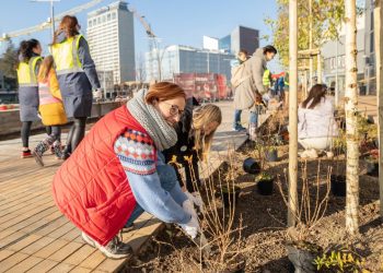 Vilniaus Šeimyniškių ir Žirmūnų gatvėse – rudeninė sodinimo talka