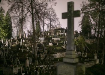 Rasų kapinėse šalinami pavojų keliantys medžiai