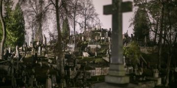 Rasų kapinėse šalinami pavojų keliantys medžiai