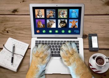 Kviečiame nemokamai paskiepyti  savo naminius gyvūnus