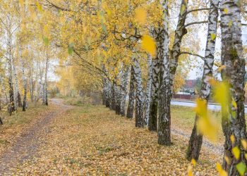 Dialogas su Pilaitės bendruomene: gyventojai kviečiami būti aktyvūs nuo projekto pradžios 