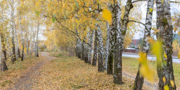 Dialogas su Pilaitės bendruomene: gyventojai kviečiami būti aktyvūs nuo projekto pradžios 