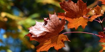 Vilniaus rajono gyventojus kviečiame dalyvauti apklausoje