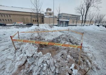 Už nelegaliai nupjautą ąžuolą įmonei skirta atlyginti per 60 tūkst. eurų žalą 