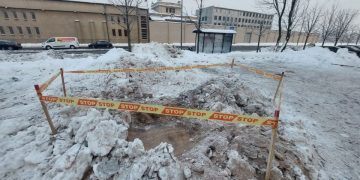 Už nelegaliai nupjautą ąžuolą įmonei skirta atlyginti per 60 tūkst. eurų žalą 