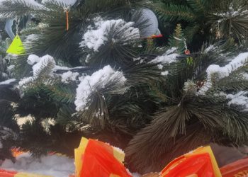 Būk matomas – nusikabink atšvaitą nuo Trakų policijos Kalėdų eglutės! (video)