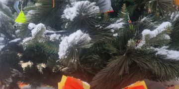 Būk matomas – nusikabink atšvaitą nuo Trakų policijos Kalėdų eglutės! (video)