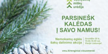Miškininkai kviečia parsinešti Kalėdas į savo namus – gruodžio 20 d. visoje Lietuvoje vyks nemokamų eglės šakų dalinimo akcija