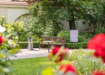 Antrus metus iš eilės santuokų sostinėje daugėja