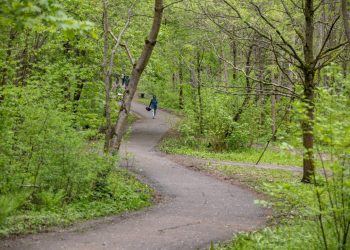 Kviečia miestiečius dalyvauti kuriant Jomanto parko pokyčių viziją