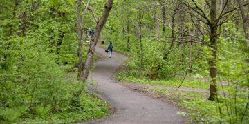 Kviečia miestiečius dalyvauti kuriant Jomanto parko pokyčių viziją