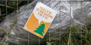 Nupuoštoms eglutėms sostinėje – beveik 100 surinkimo aikštelių