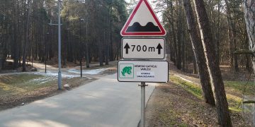 Prasideda kasmetė varliagyvių migracija – Vingio parke įvedami laikini eismo ribojimai