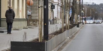 Vilniuje išmontuojami atitvarai kitą žiemą ir vėl saugos naujai pasodintus želdinius